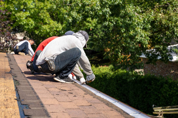 Roof repair in Chicago IL for leak and shingle damage