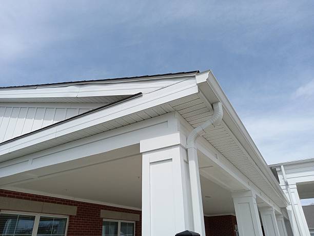 Dark soffit and fascia repair detail in Morton Grove IL