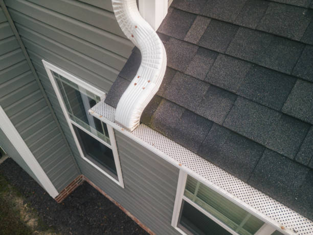 Downspout and gutter drainage detail in Park Ridge IL exterior project